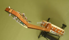Lame Horse Instruments Guitar: Fiberskyn top Gitjo