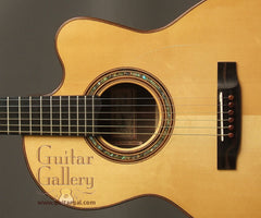 MANZER Guitar: Used Indian Rosewood Steel String