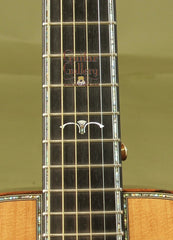 Olson Guitar: Brazilian Rosewood SJ