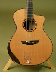 Simpson Guitar: CocoBolo GAC