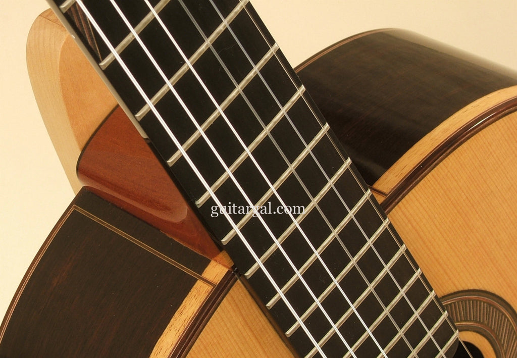 McGill Guitar: Used African Blackwood 25th Anniversary Picasso