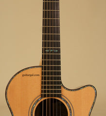 Ryan Guitar: Brazilian Rosewood Mission GC Cutaway