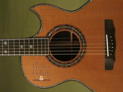 Olson Guitar: Brazilian Rosewood SJ