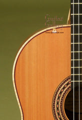 Langejans Guitar: Used Douglas Fir Top MC-6