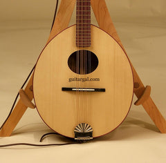 Alden Mandolin Family: Zebrawood Mandola