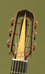 McGill Guitar: African Blackwood Super SE