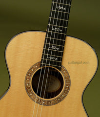 Taylor Guitar: Madagascar Rosewood NS Custom