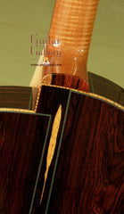 McGill Guitar: CocoBolo Picasso Collector's Series