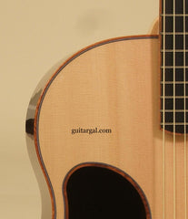 McPherson Guitar: Madagascar Rosewood MG4.0XP