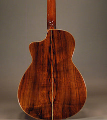Tippin Forte guitar Brazilian rosewood back