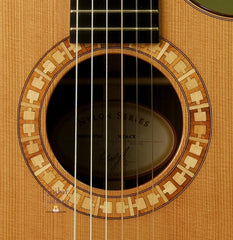 Taylor Guitar: Indian Rosewood NS74ce