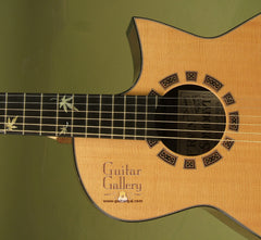 Somogyi Guitar: Used Brazilian Rosewood 00