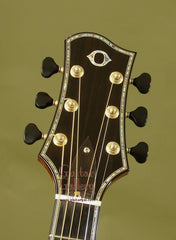 Olson Guitar: Brazilian Rosewood SJ