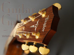 Taylor Guitar: Used Brazilian Rosewood 710 Brazilian