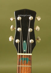 Lame Horse Instruments Guitar: Fiberskyn top Gitjo