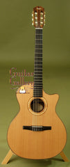 Taylor Guitar: Indian Rosewood NS74ce