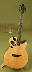 Schwartz Guitar: Brazilian Rosewood Oracle Fingerstyle