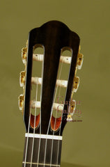 Langejans Guitar: Brazilian Rosewood Brazilian Rosewood Classical