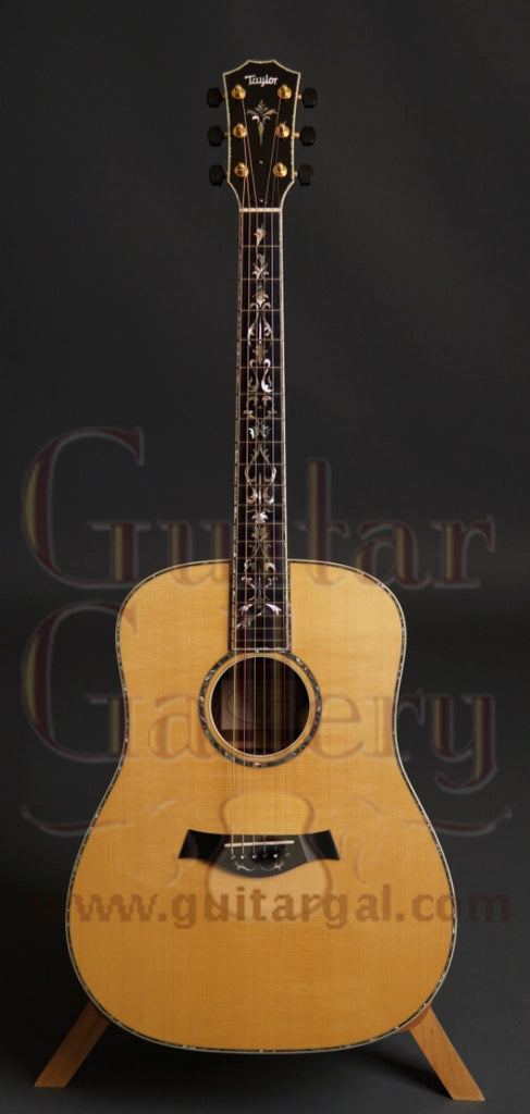Taylor Brazilian Rosewood PS 10 Guitar Guitar Gallery