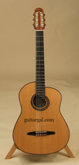 McGill Guitar: Used African Blackwood 25th Anniversary Picasso