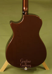 RainSong Graphite Guitars: Sunburst OM1100N2T Guitar