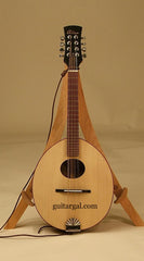 Alden Mandolin Family: Zebrawood Mandola