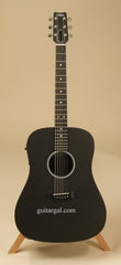 Rainsong Graphite Guitar: S-DR1000NR