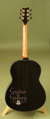 Greenfield guitar back