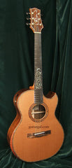 Applegate Guitar: Brazilian Rosewood Dream Series #5 SJ