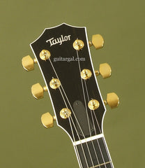 Taylor Guitar: Used Black T5-C