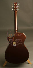 Rainsong Graphite Guitars: Vintage Burst APLE (Al Petteway Sig Model)