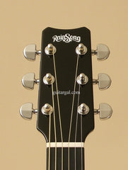 RainSong Graphite Guitars Guitar: Black Graphite WS1000