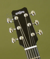 RainSong Graphite Guitars Guitar: Black Graphite David Wilcox Ltd Ed