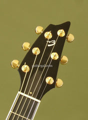 Breedlove C15e custom guitar headstock