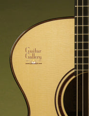 TRAUGOTT Guitar: Used Brazilian Rosewood BK