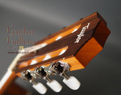 Taylor Guitar: Used Ovangkol 414ce-N