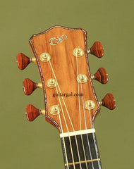 Laurie Williams Guitar: Ancient Kauri Tui