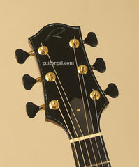 Ryan Guitar: CocoBolo Paradiso