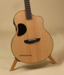 McPherson Guitar: Madagascar Rosewood MG4.0XP