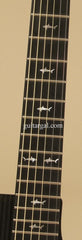 RainSong Graphite Guitars Guitar: Black Graphite WS1000