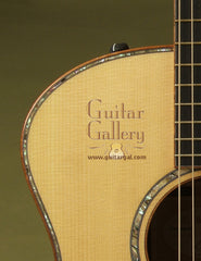 Taylor Guitar: Used CocoBolo Fall Ltd Ed 2008 GA