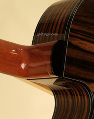 Greenfield Guitar: Macassar Ebony G1 Cutaway