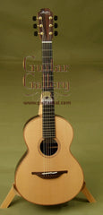 Lowden Guitars Guitar: Indian Rosewood The WEE