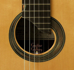 McGill Guitar: CocoBolo Picasso Collector's Series