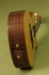 Taylor Guitar: Indian Rosewood NS74ce