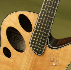 Schwartz Guitar: Brazilian Rosewood Oracle Fingerstyle