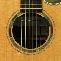 Ryan Guitar: African Blackwood Mission GC