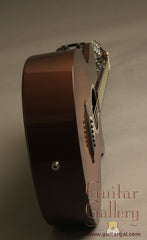 Rainsong Graphite Guitars: Vintage Burst APLE (Al Petteway Sig Model)