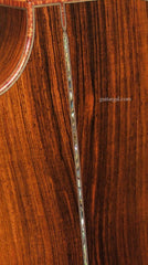 Applegate Guitar: Brazilian Rosewood Dream Series #5 SJ