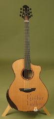Simpson Guitar: CocoBolo GAC